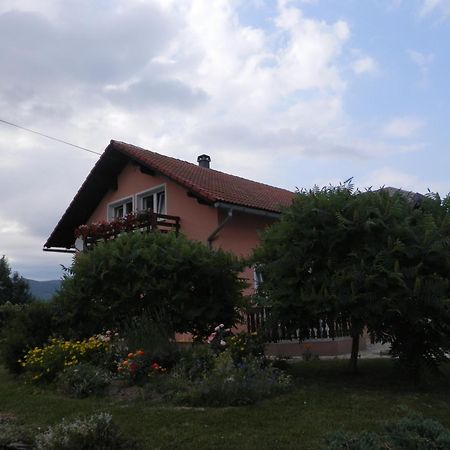 Guesthouse Blazenka Hodak セリステ・ドゥレズニツコ エクステリア 写真