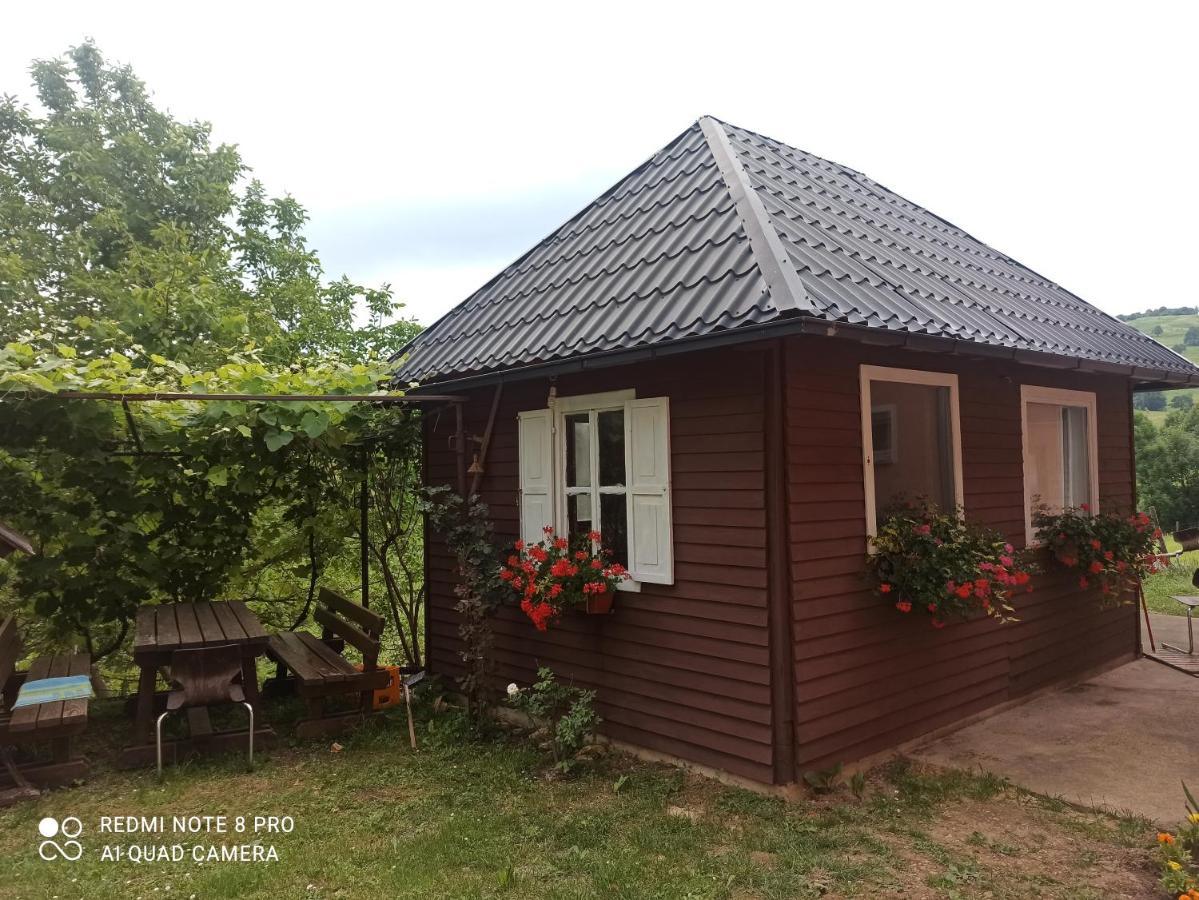 Guesthouse Blazenka Hodak セリステ・ドゥレズニツコ エクステリア 写真