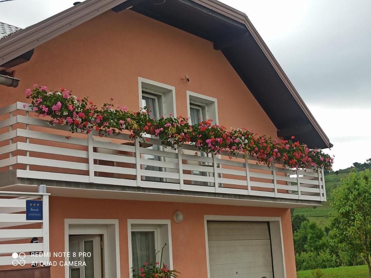 Guesthouse Blazenka Hodak セリステ・ドゥレズニツコ エクステリア 写真