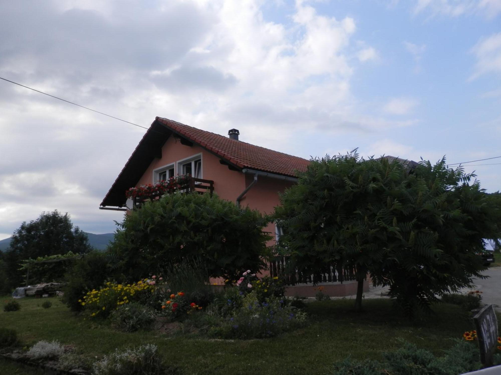 Guesthouse Blazenka Hodak セリステ・ドゥレズニツコ エクステリア 写真