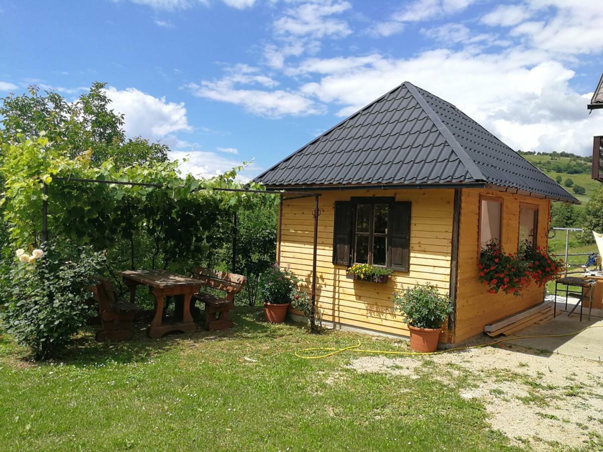 Guesthouse Blazenka Hodak セリステ・ドゥレズニツコ エクステリア 写真