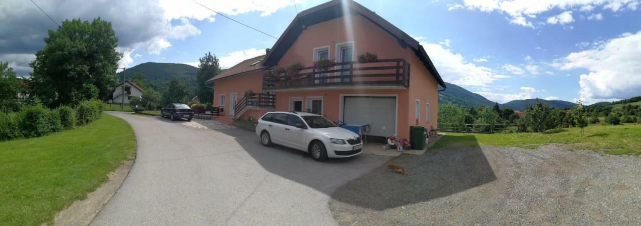 Guesthouse Blazenka Hodak セリステ・ドゥレズニツコ エクステリア 写真