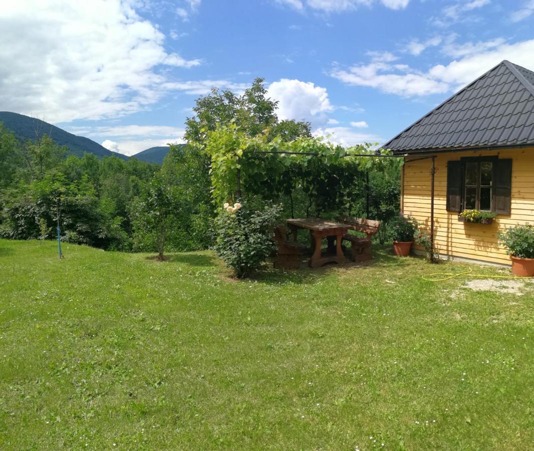 Guesthouse Blazenka Hodak セリステ・ドゥレズニツコ エクステリア 写真