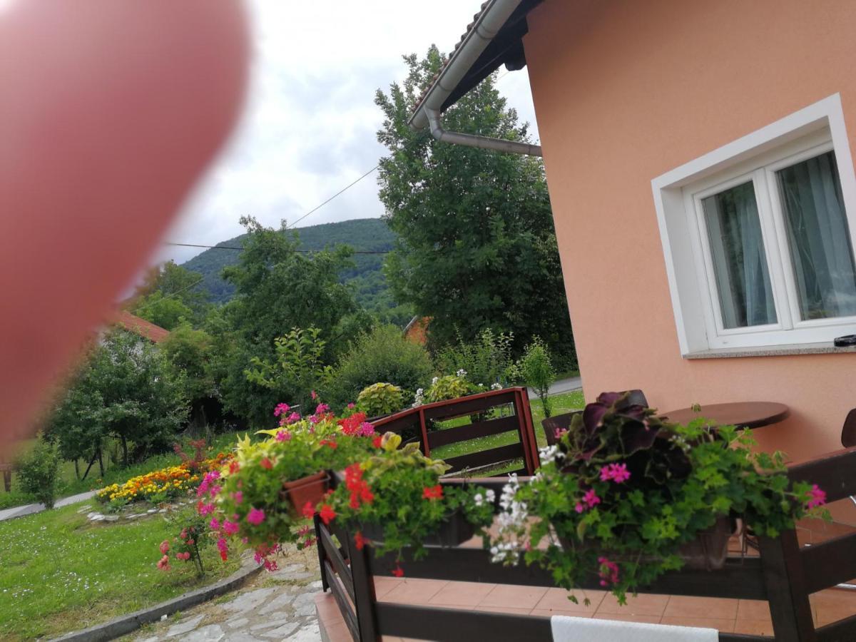 Guesthouse Blazenka Hodak セリステ・ドゥレズニツコ エクステリア 写真